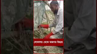 লোকালয় থেকে অ জ গর উ দ্ধা র