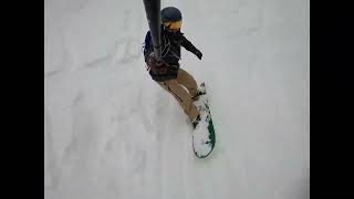 Nozawa Onsen Powder, Japan, February 2022