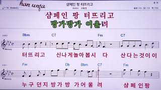 💖샴페인 팡 터트리고/고화영  👍MR,노래방, 악보, 코드,Karaoke With Sheet  Music,カラオケ