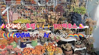 🌈🌈🌈다육매니아님들읙꿈 개인하우스~구경해요~🌈🌈🌈