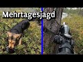 Autarke Wildnisjagd in Lappland: Hunt and eat  | Teil 1/2