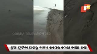 Cyclone Asani impact- High tide at Rushikulya rookery in Ganjam washes away Olive Ridley eggs