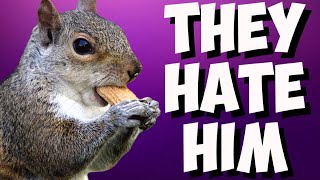 NY Government Plays VICTIM! Woke media SMEARS Peanut The Squirrel as evil RightWing champion!