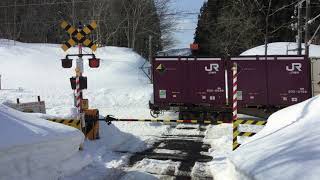 青い森鉄道踏切3　大道踏切