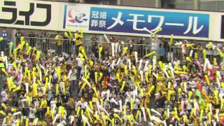 2016年4月3日　横浜DeNAベイスターズ vs 阪神タイガース レフトスタンド