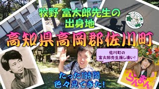 【観光動画】 よさこい祭り・全国大会終わった翌日、牧野富太郎先生が生まれ育った高知県高岡郡佐川町に行ってきた！ 【朝ドラらんまん】