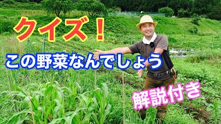 【新企画】竹内孝功さんの「この野菜なんでしょうクイズ！」＋豆知識　第２弾