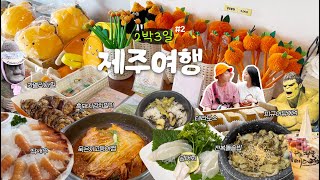 [제주여행] 제주도여행 코스, 다양하고 알차게 돌아다녀보자🍊(카멜리아힐,가람돌솥밥,천지연폭포,노을리,동문재래시장,노형수퍼마켙,제주항공우주박물관,피규어뮤지엄,테라도스) 여행브이로그😋