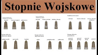 Stopnie wojskowe w Polsce - proste omówienie i opis