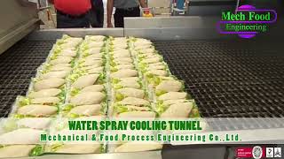 Water Spray Cooling Tunnel