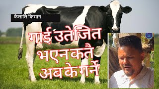 गाई फर्म भरि नै कुनै पनि गाई उतेजित भएन अब के गर्ने #drbhat  #farming  #agriculture  #fypシ゚ #cow