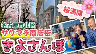 【きよさんぽ】桜満開サクマチ商店街を満喫！