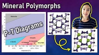 Mineral Polymorphism & PT Diagrams- Mineralogy | GEO GIRL