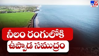 నీలం రంగులోకి ఉప్పాడ సముద్రం || Kakinada Uppada Beach Amazing Visuals - TV9