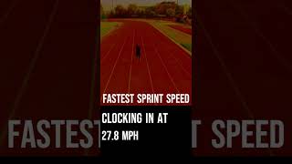 Fastest Sprint Speed #shorts