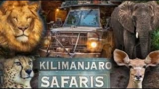 Disney's Kilimanjaro Safari at Animal Kingdom