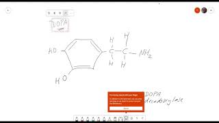 catecholamine synthesis