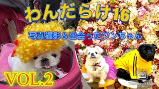 わんだらけ16 IN名古屋メイカーズピア VOL.2   出会ったわんちゃんたち