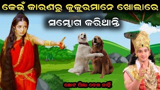 କେଉଁ କାରଣରୁ କୁକୁରମାନେ ଆଜି ବି ଖୋଲାରେ ସମ୍ଭୋଗ କରିଥାନ୍ତି | Odia Devotional Real Story | Mahabharat