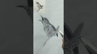 how to draw a Bird #drawing #art #freehandsketch #pencilsketch #shorts #youtubeshorts #viral