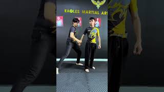 Lý thuyết thôi [BEN EAGLE] #beneagle #training #kungfu #martialarts #fighting