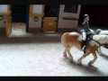 Schleich Stop Motion - The Stolen Horse (Part 1)