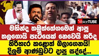 මහින්ද තඹුත්තේගමෙන් ආපු තලගොයි පැටියෙක් නෙවෙයි හරිද - හිරිහැර කළොත් බලාගෙනයි! | Dilum Amunugama