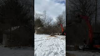 When it’s cold, we take down trees🌲#excavation #landclearing #landsolutions