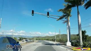 BOSQUE SECO(DRY FOREST-GUANICA,PR-Enero-2024