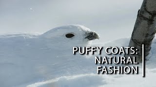 Puffy coats are the original winter fashion in Canada's frozen North | Wild Canadian Weather