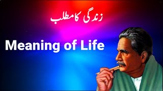 Meaning of Life| زندگی کا مطلب