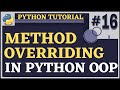 Method Overriding | Python Tutorial for Beginners | Python