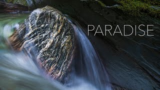 Step Into My World - New Zealand Landscape Photography