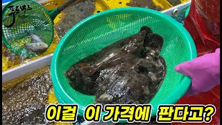 [호구탈출] 속초 동명항에서 12만원에 팔던걸 여긴 이걸 이 가격에 파네요~