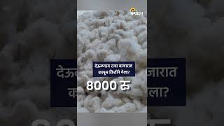 कापूस लिलाव | देऊळगाव राजा बाजारात फरदड कापूस कितीने गेला? | Deulgaonraja Cotton Market  Kapus Bhav