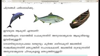 STD 4 -EVS - വയലും വനവും - English and Malayalam Medium - module 1