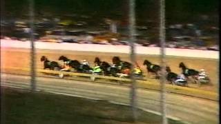 Harness Racing,Globe Derby Park-24/02/1990 Inter-Dominion Grand Final (Thorate-H.James)