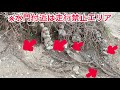 猿ヶ島初心者ガイド（お急ぎの方は10 00から）