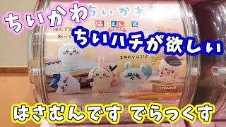 【ガチャ】 ちいかわ、ハチワレ欲しいな～と軽い気持ちで回したら・・『ちいかわ はさむんです でらっくす』でまたもや物欲センサーが働いて悲惨ｗ 【ちい活】