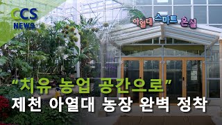 [CCS종합뉴스]“치유 농업 공간으로”…제천 아열대 농장 완벽 정착