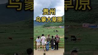 贵州 乌蒙大草原  Guizhou Wumeng Big Grassland Scenic Spot