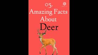 05. Amazing Facts About Deer 🔥🦌 ( part 3 )||#shorts #youtubeshorts #interestingfacts||