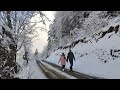 Зима в Карпатах Яремче Багрівець winter in the carpathians yaremche bagrivets