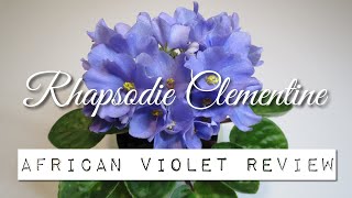 Rhapsodie Clementine - African Violet Review