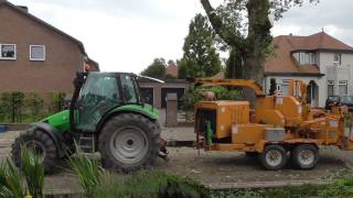 Oostflank Wijchen deel 122 / Bomen kappen op de Oosterweg (5)