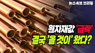 [뉴스속보] 원자재값 '급락'...결국 '올 것이' 왔다? [정완진TV]