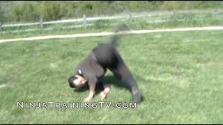 Advanced Ninjutsu Rolls June Nagashi and Gyaku Nagare