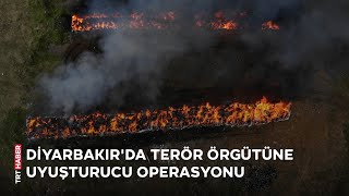 Diyarbakır'da terör örgütüne 'uyuşturucu' operasyonu: 7 tutuklu