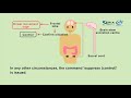 eria functional recovery care episode 10 importance of peristalsis and intestinal bacteria