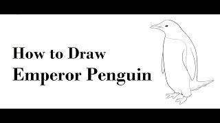 How to draw emperor penguin pencil drawing step by step